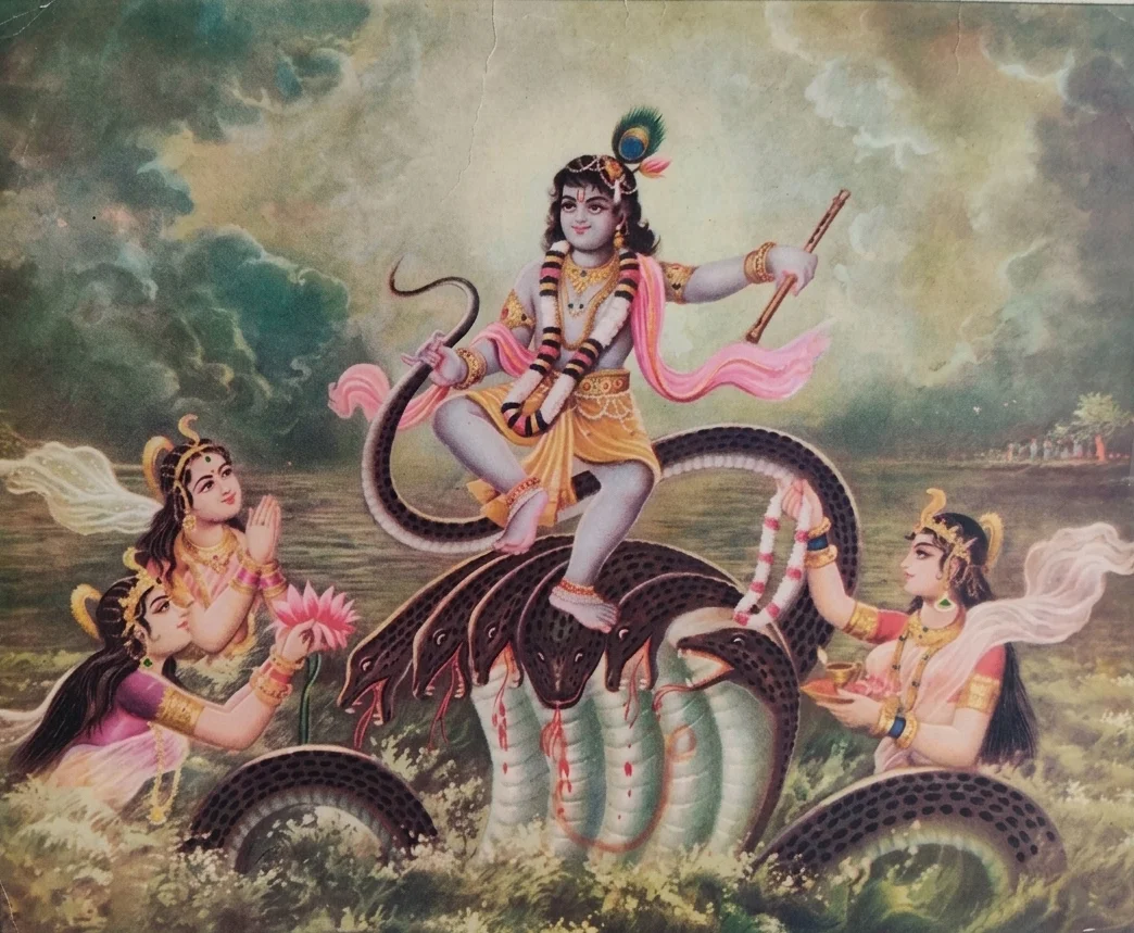 The Growth of the Bhakti Creeper: Eliminating Anarthas